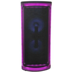 Cassa acustica ricaricabile 2x6" Bluetooth USB/Scheda SD con luci LED
