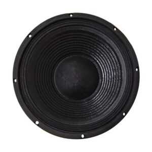 Altoparlante 12" 6 Ohm 500 W