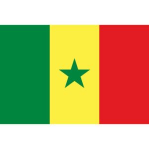 Bandiera di stato Senegal 300x200cm