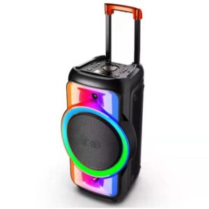 Cassa acustica trolley 100W Luce LED Bluetooth/USB/SD/FM con microfono