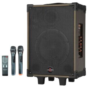 Cassa acustica portatile ricaricabile trolley 12" 80W Bluetooth/SD/USB