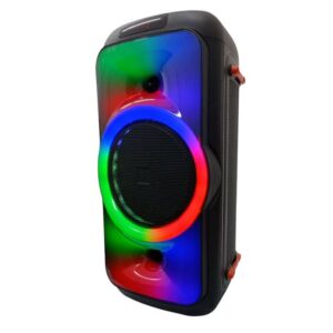 Cassa acustica Bluetooth/USB/Scheda SD/Radio FM 8” 100W