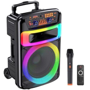 Cassa acustica portatile ricaricabile trolley 12" 40W Luce LED Bluetooth TWS/SD/USB KK-12101