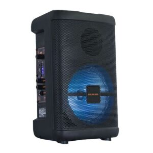 Cassa acustica portatile 8" 20W Luce LED Bluetooth/Radio/USB