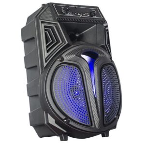 Cassa acustica portatile 6.5" 16W Luce LED Bluetooth/Radio/USB