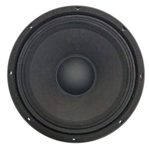 Woofer 10” 26cm 8 OHM 300W  WEDR1065-10