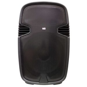 Cassa acustica passiva 100W 4 OHM 15 pollici PP-158